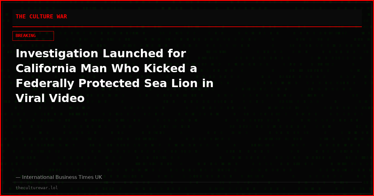 Investigation Launched for California Man Who Kicked a Federally Protected Sea Lion in Viral Video