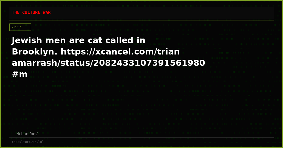 Jewish men are cat called in Brooklyn. https://xcancel.com/trianamarrash/status/2082433107391561980#m