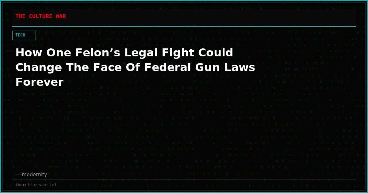 How One Felon’s Legal Fight Could Change The Face Of Federal Gun Laws Forever