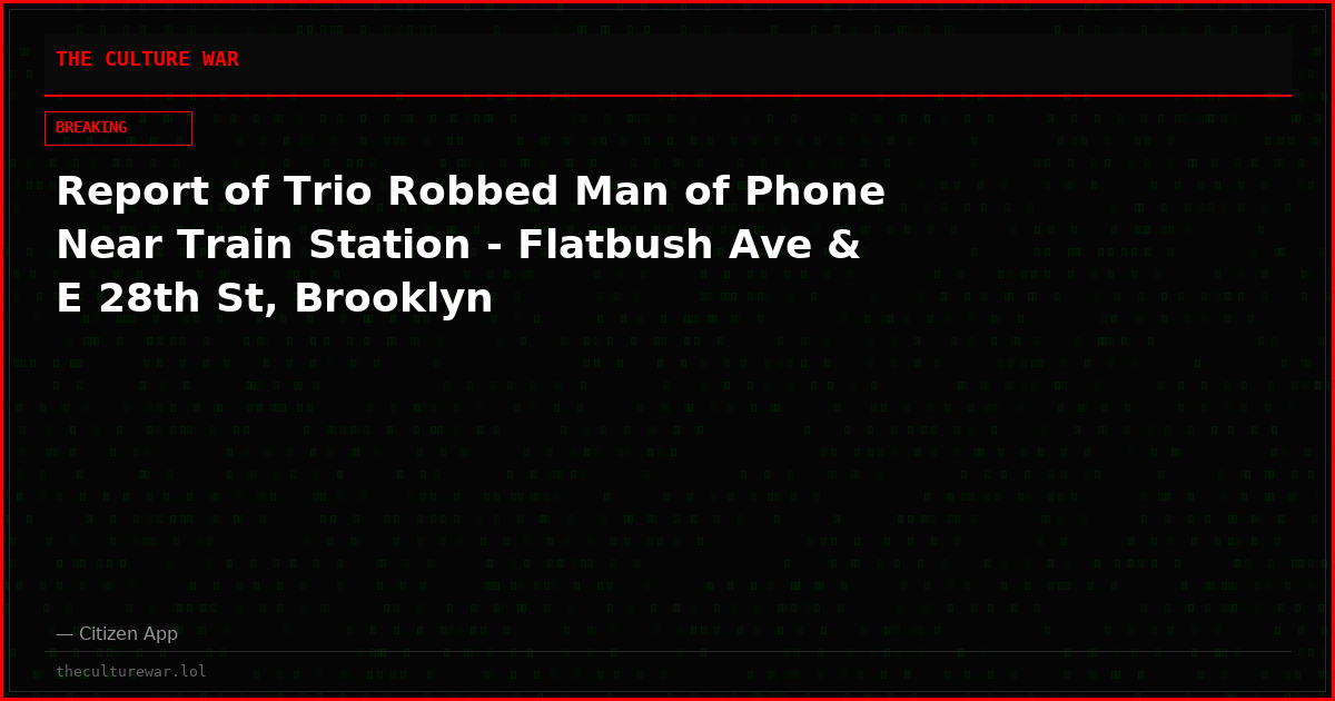 Report of Trio Robbed Man of Phone Near Train Station - Flatbush Ave & E 28th St, Brooklyn