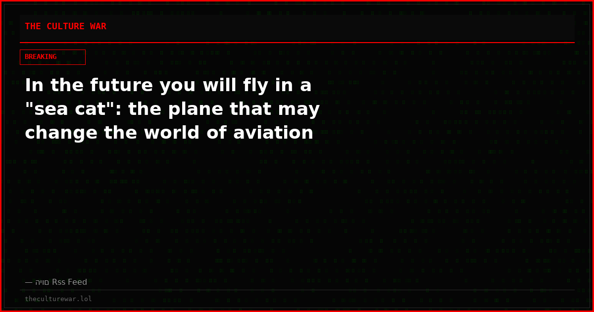 In the future you will fly in a "sea cat": the plane that may change the world of aviation