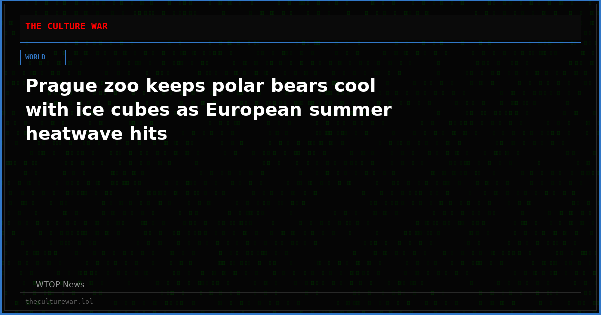 Prague zoo keeps polar bears cool with ice cubes as European summer heatwave hits