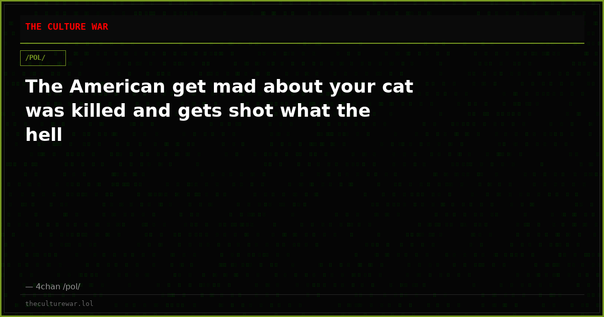 The American get mad about your cat was killed and gets shot what the hell