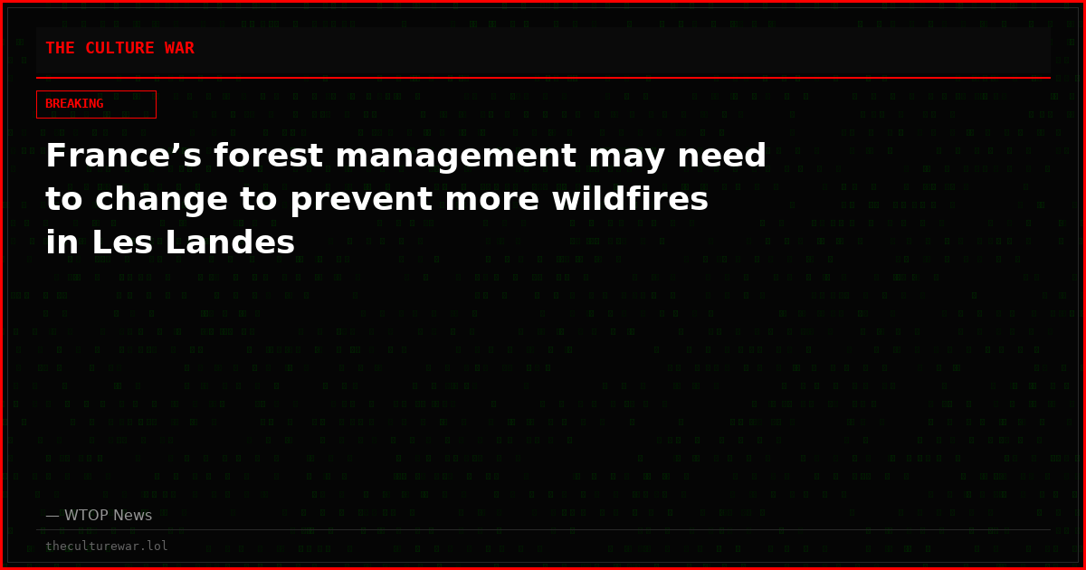 France’s forest management may need to change to prevent more wildfires in Les Landes