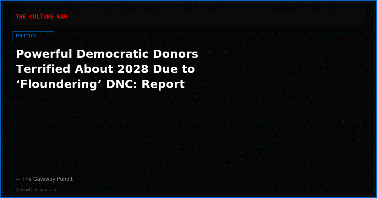 Powerful Democratic Donors Terrified About 2028 Due to ‘Floundering’ DNC: Report