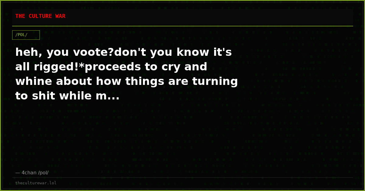 heh, you voote?don't you know it's all rigged!*proceeds to cry and whine about how things are turning to shit while m...