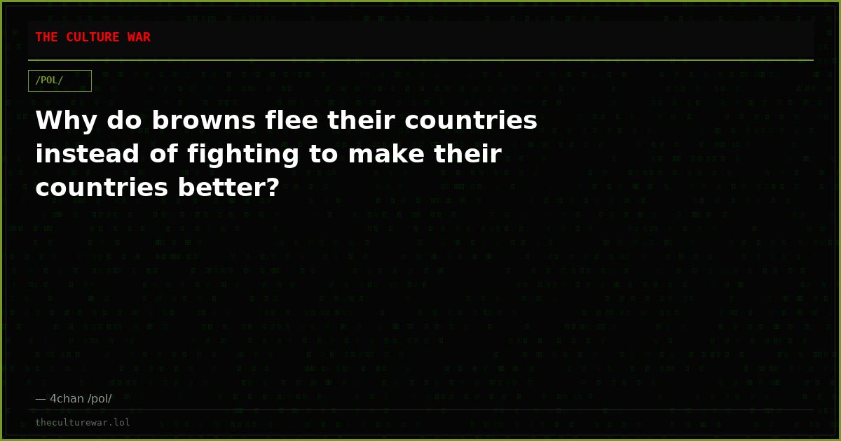 Why do browns flee their countries instead of fighting to make their countries better?