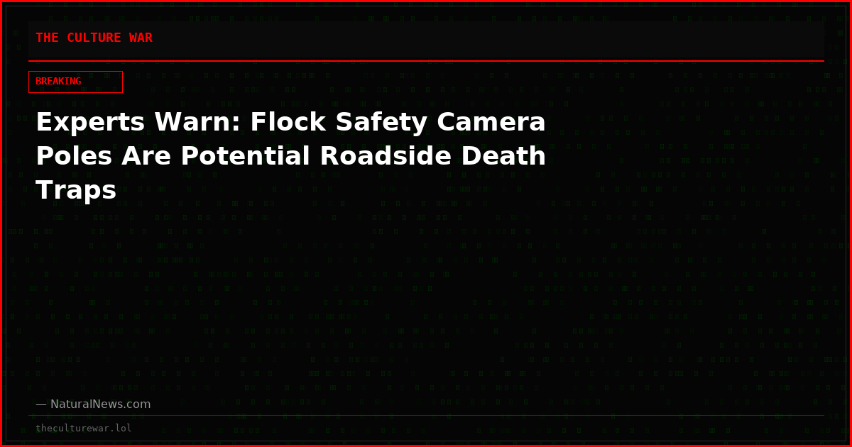 Experts Warn: Flock Safety Camera Poles Are Potential Roadside Death Traps