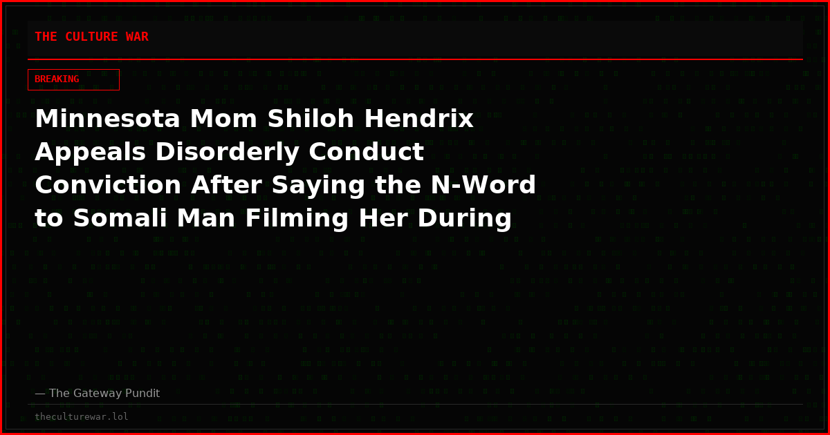 Minnesota Mom Shiloh Hendrix Appeals Disorderly Conduct Conviction After Saying the N-Word to Somali Man Filming Her During Viral Park Confrontation