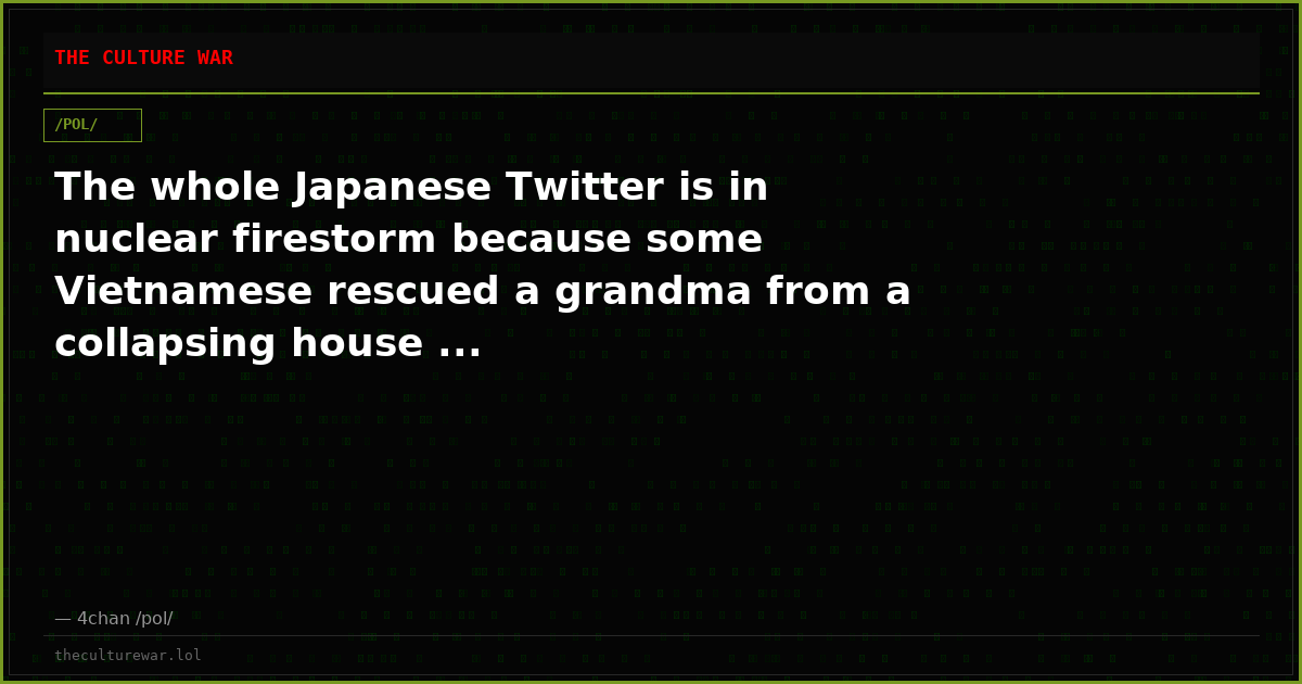 The whole Japanese Twitter is in nuclear firestorm because some Vietnamese rescued a grandma from a collapsing house ...