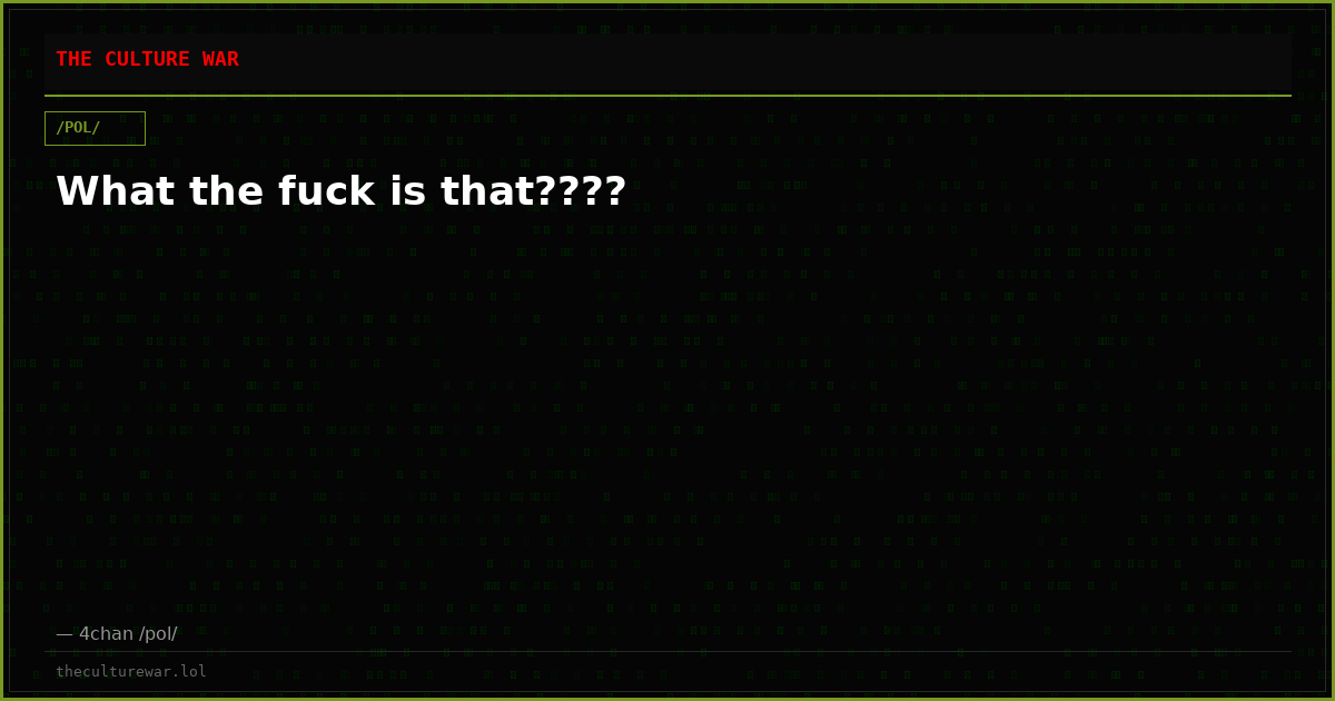 What the fuck is that????