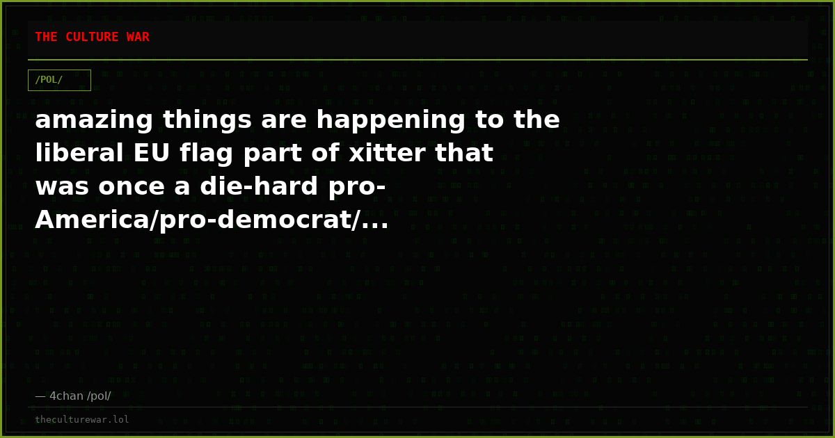 amazing things are happening to the liberal EU flag part of xitter that was once a die-hard pro-America/pro-democrat/...