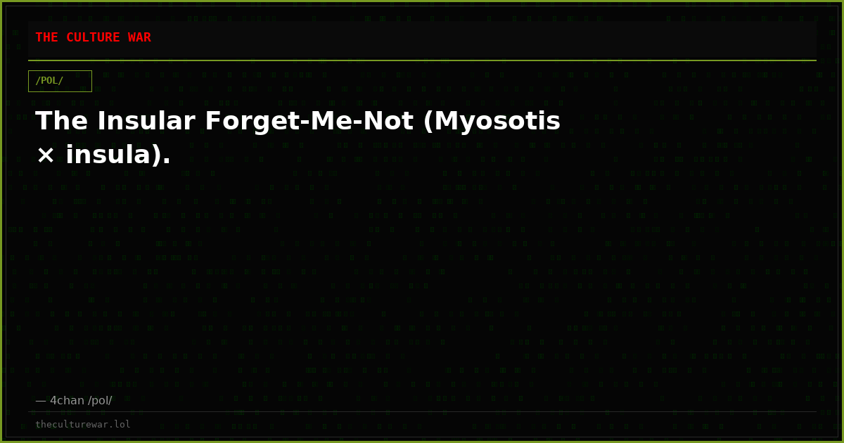 The Insular Forget-Me-Not (Myosotis × insula).