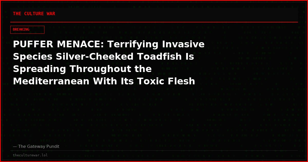 PUFFER MENACE: Terrifying Invasive Species Silver-Cheeked Toadfish Is Spreading Throughout the Mediterranean With Its Toxic Flesh and Crushing Bite