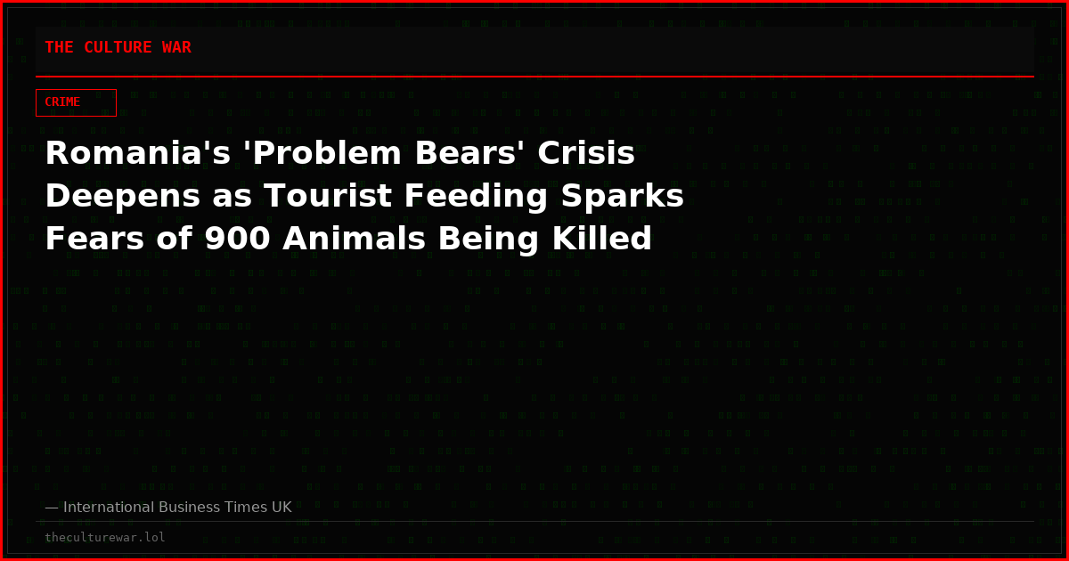 Romania's 'Problem Bears' Crisis Deepens as Tourist Feeding Sparks Fears of 900 Animals Being Killed