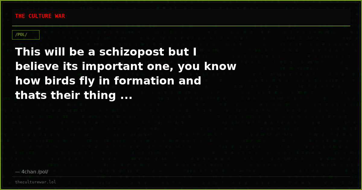 This will be a schizopost but I believe its important one, you know how birds fly in formation and thats their thing ...