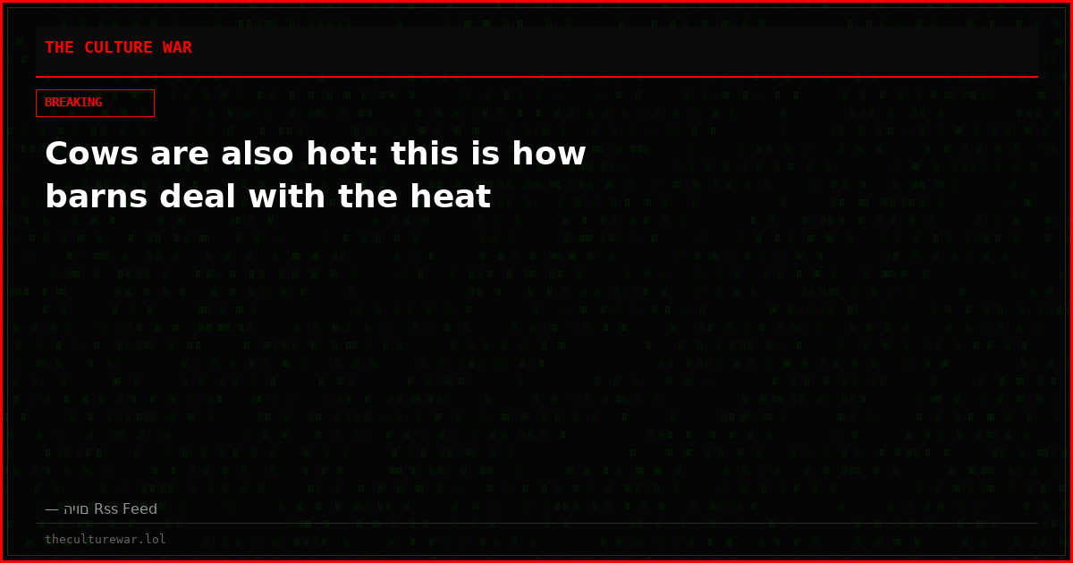 Cows are also hot: this is how barns deal with the heat