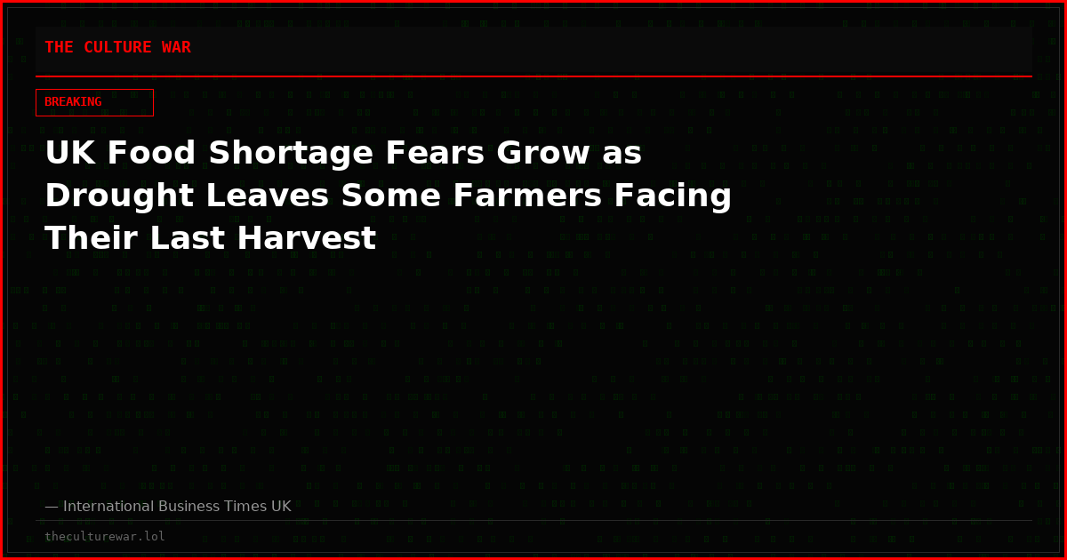 UK Food Shortage Fears Grow as Drought Leaves Some Farmers Facing Their Last Harvest