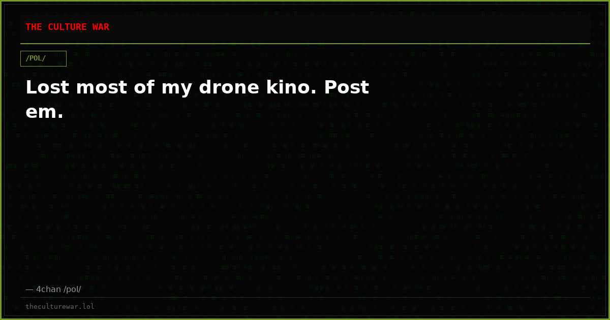 Lost most of my drone kino. Post em.