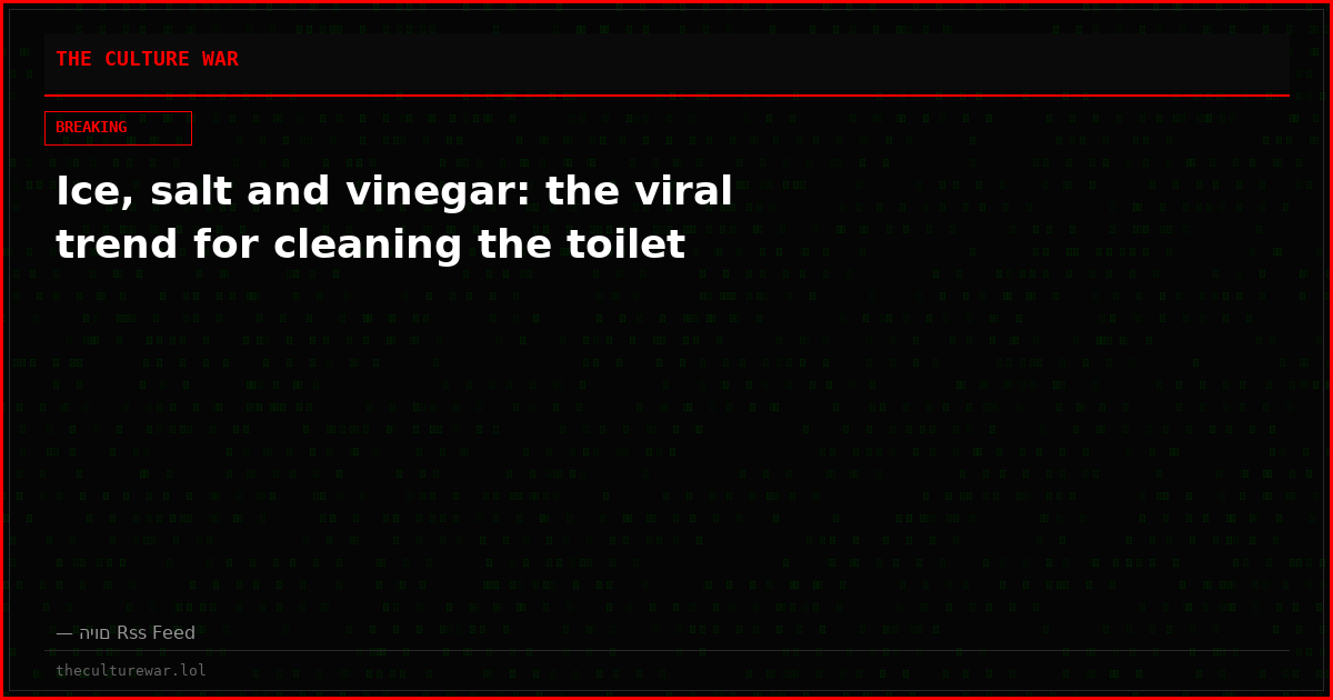 Ice, salt and vinegar: the viral trend for cleaning the toilet