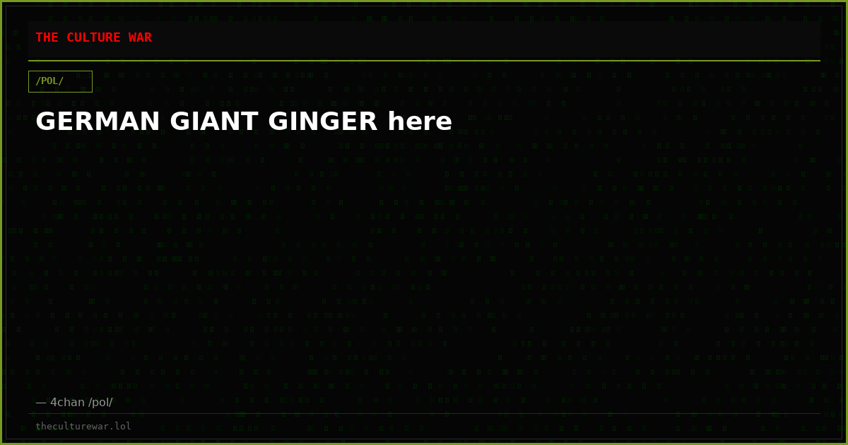 GERMAN GIANT GINGER here