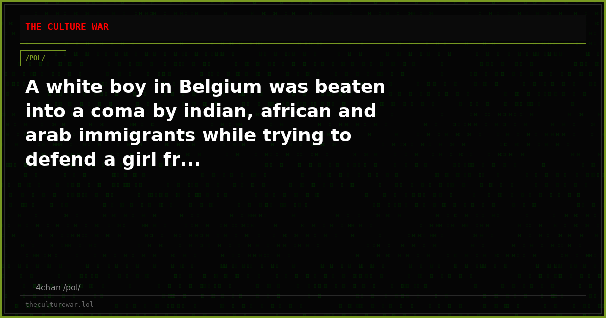 A white boy in Belgium was beaten into a coma by indian, african and arab immigrants while trying to defend a girl fr...