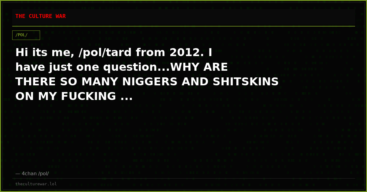 Hi its me, /pol/tard from 2012. I have just one question...WHY ARE THERE SO MANY NIGGERS AND SHITSKINS ON MY FUCKING ...