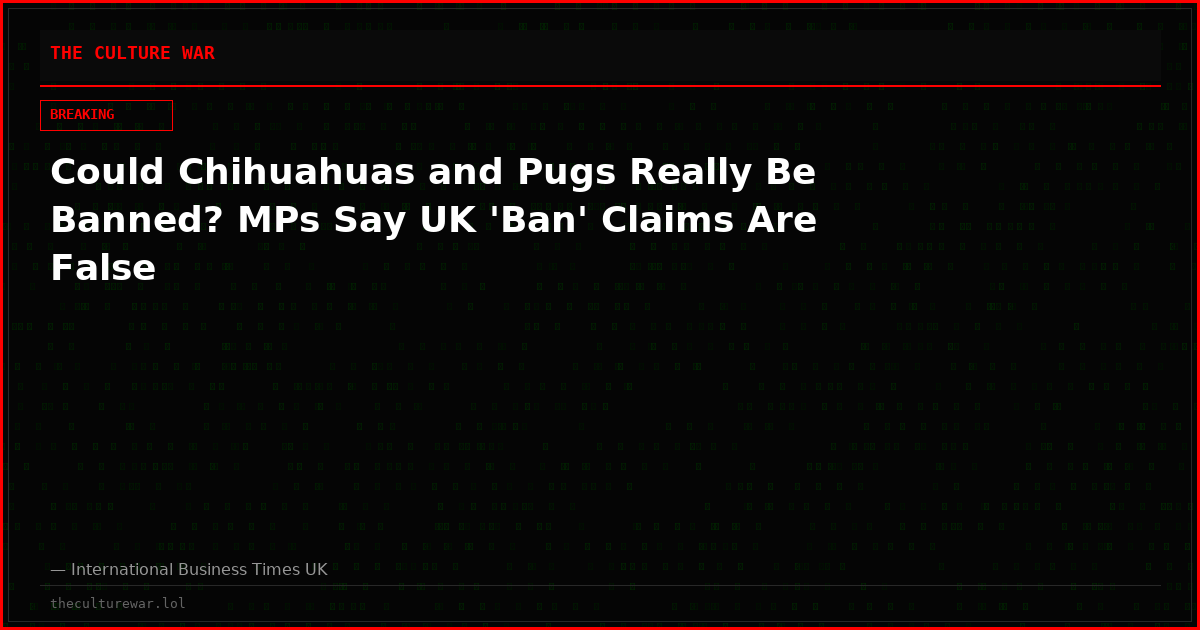 Could Chihuahuas and Pugs Really Be Banned? MPs Say UK 'Ban' Claims Are False