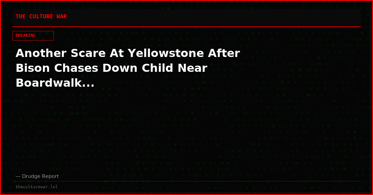 Another Scare At Yellowstone After Bison Chases Down Child Near Boardwalk...