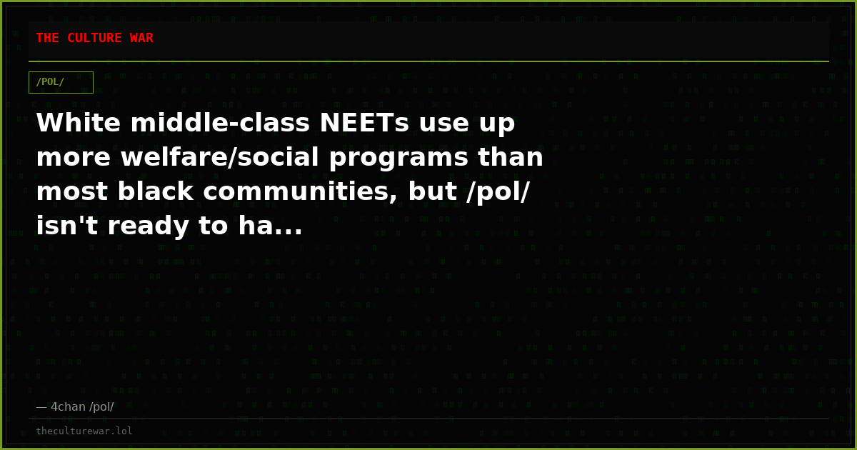 White middle-class NEETs use up more welfare/social programs than most black communities, but /pol/ isn't ready to ha...
