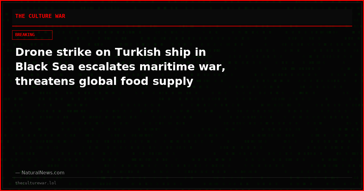 Drone strike on Turkish ship in Black Sea escalates maritime war, threatens global food supply