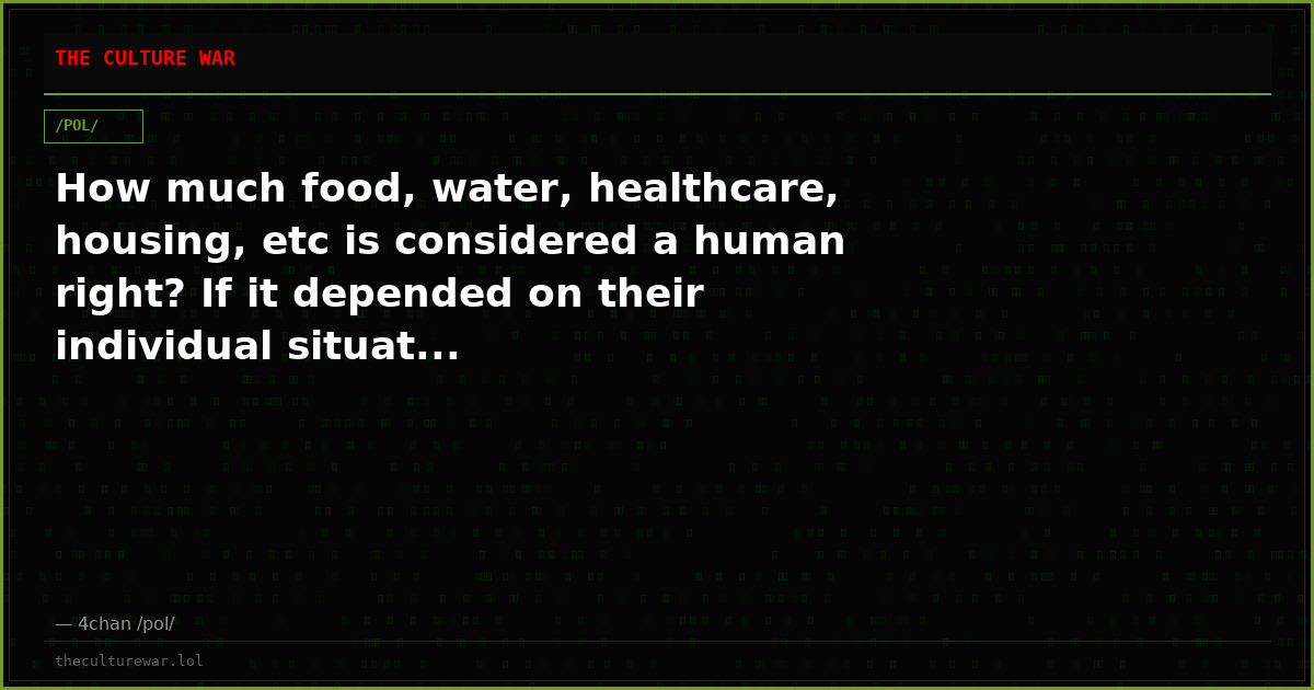 How much food, water, healthcare, housing, etc is considered a human right? If it depended on their individual situat...