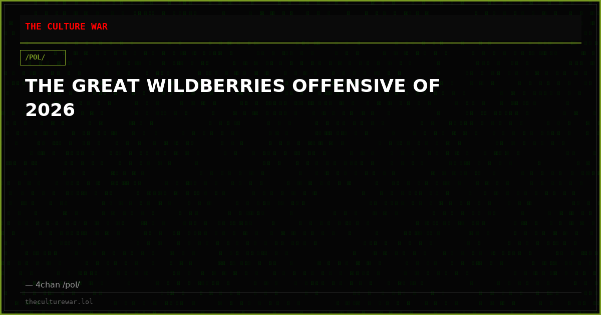 THE GREAT WILDBERRIES OFFENSIVE OF 2026