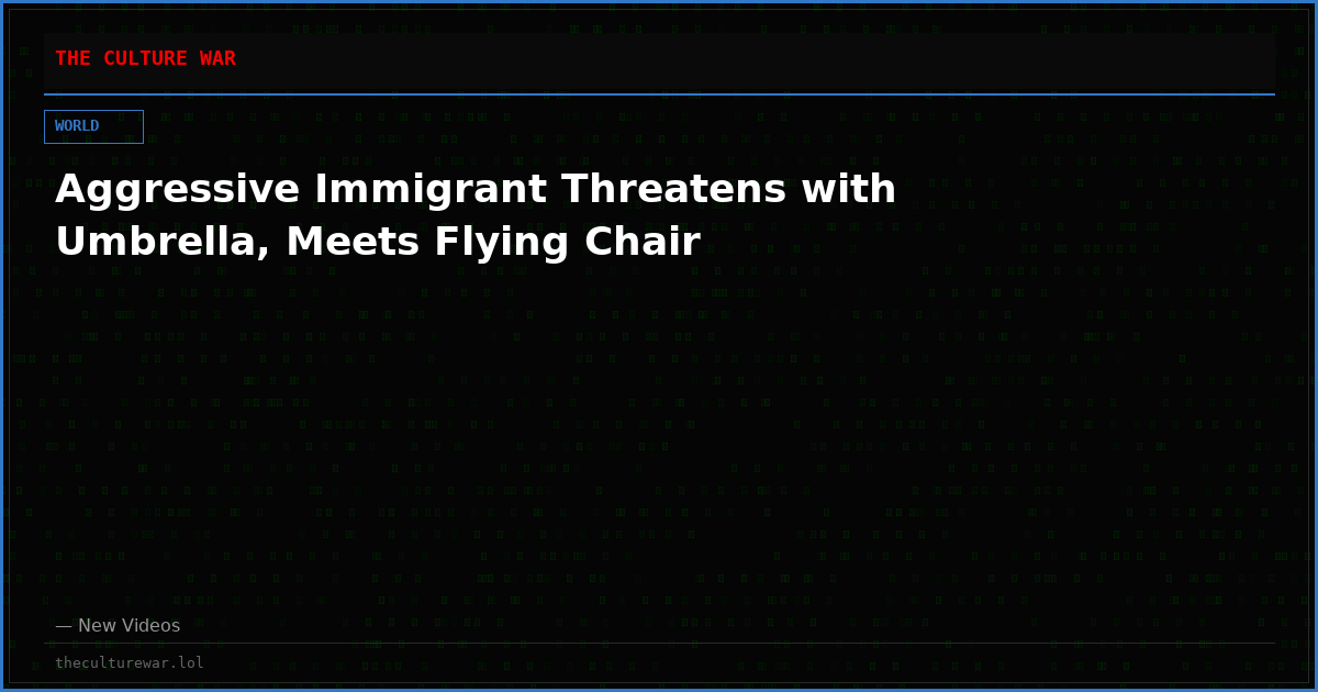Aggressive Immigrant Threatens with Umbrella, Meets Flying Chair