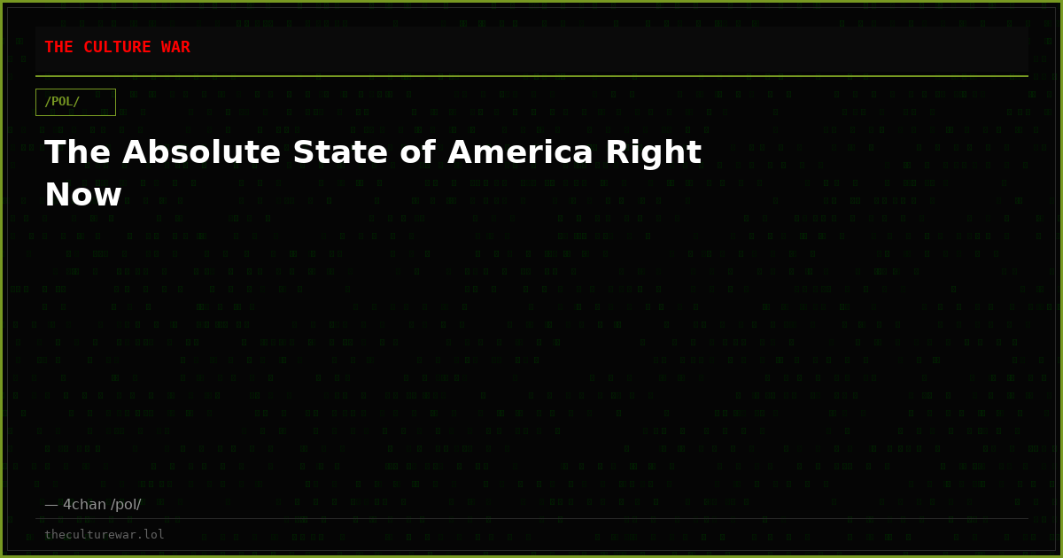 The Absolute State of America Right Now