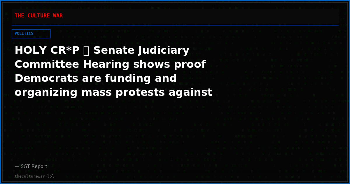 HOLY CR*P 🚨 Senate Judiciary Committee Hearing shows proof Democrats are funding and organizing mass protests against ICE through NGOs and BlueSky