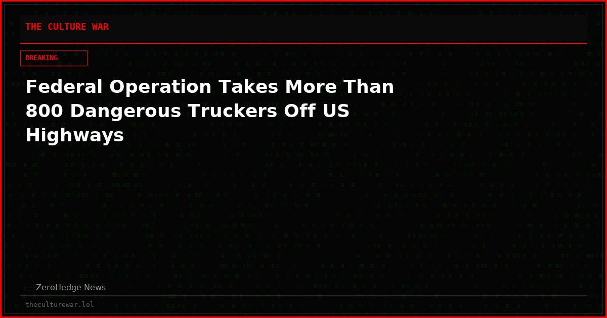 Federal Operation Takes More Than 800 Dangerous Truckers Off US Highways