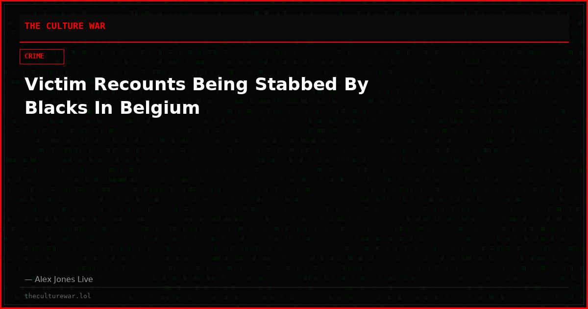 Victim Recounts Being Stabbed By Blacks In Belgium