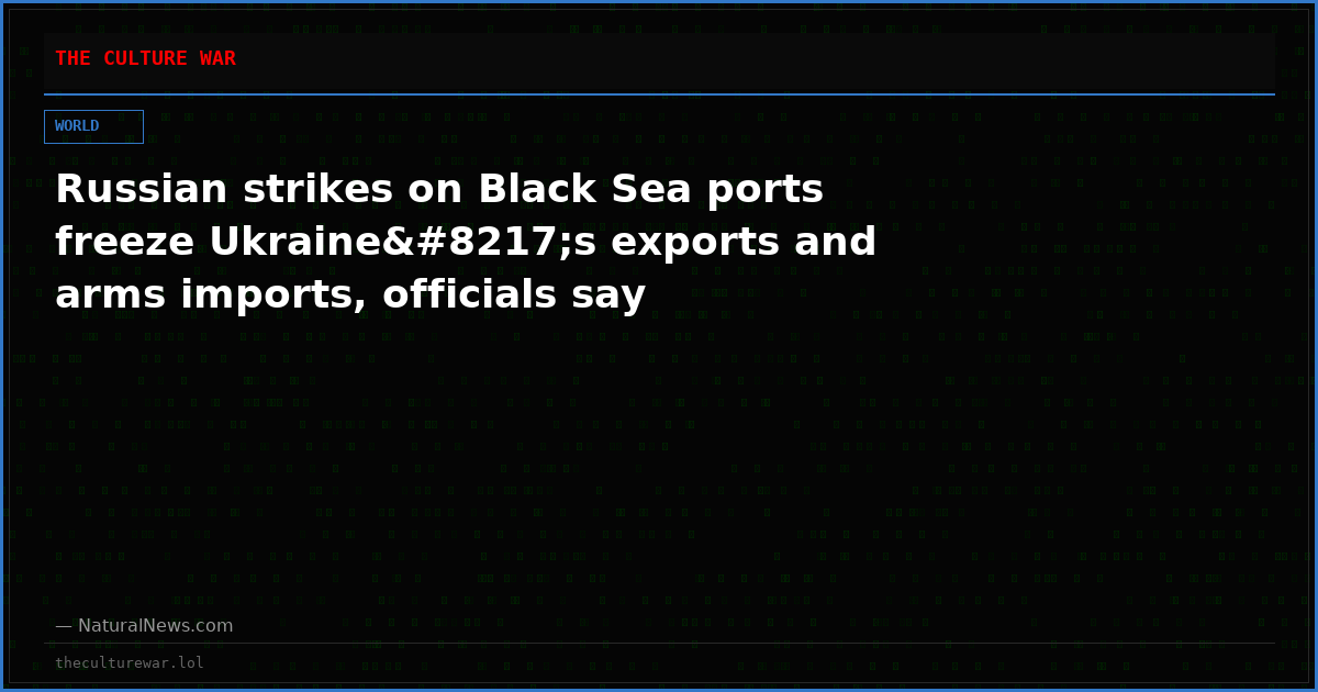 Russian strikes on Black Sea ports freeze Ukraine’s exports and arms imports, officials say