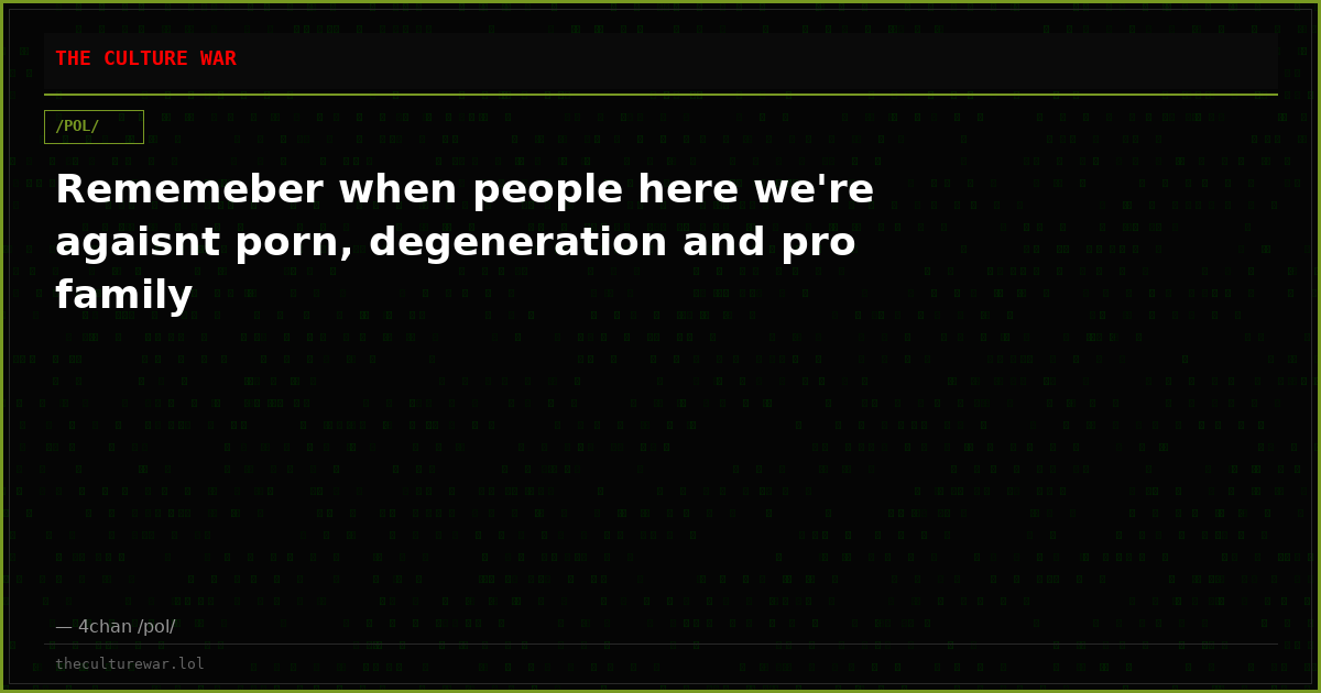 Rememeber when people here we're agaisnt porn, degeneration and pro family