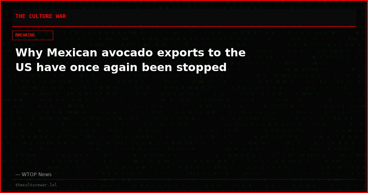 Why Mexican avocado exports to the US have once again been stopped
