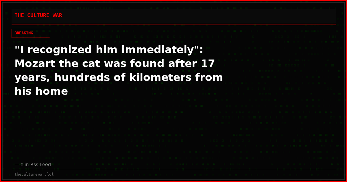 "I recognized him immediately": Mozart the cat was found after 17 years, hundreds of kilometers from his home