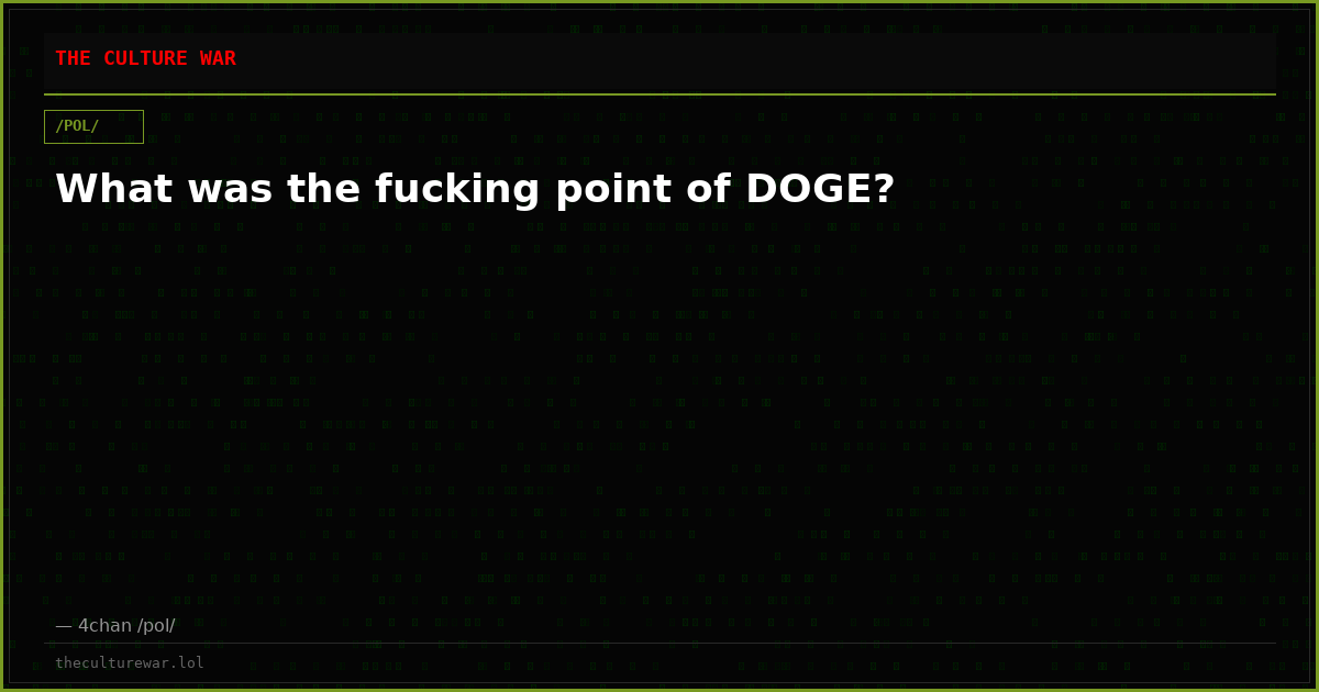 What was the fucking point of DOGE?
