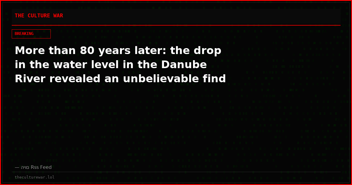 More than 80 years later: the drop in the water level in the Danube River revealed an unbelievable find