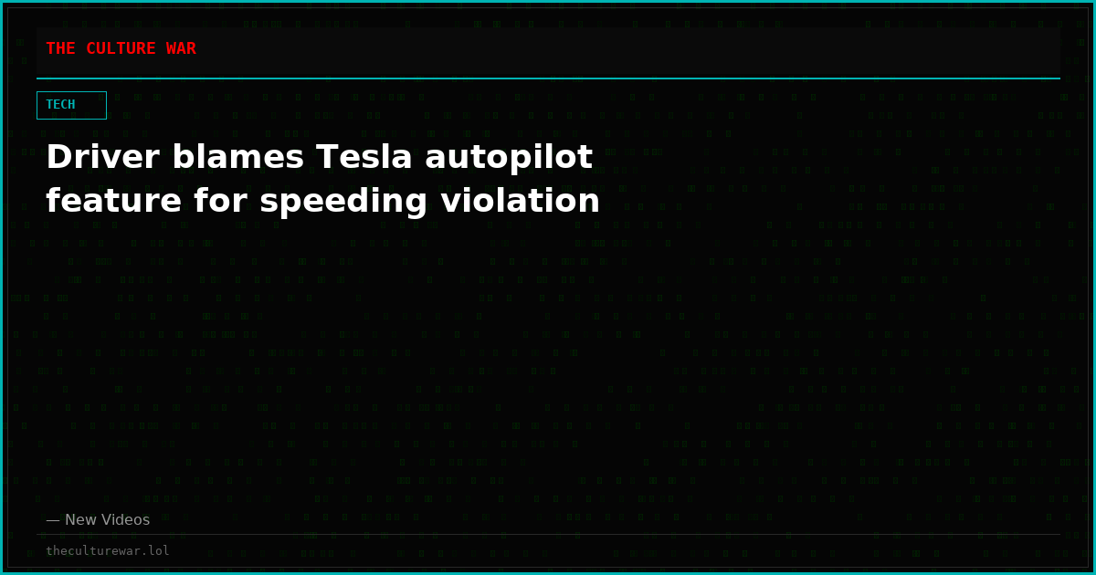 Driver blames Tesla autopilot feature for speeding violation