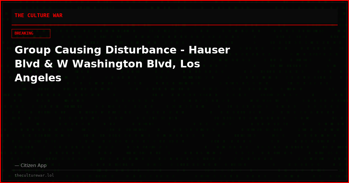 Group Causing Disturbance - Hauser Blvd & W Washington Blvd, Los Angeles