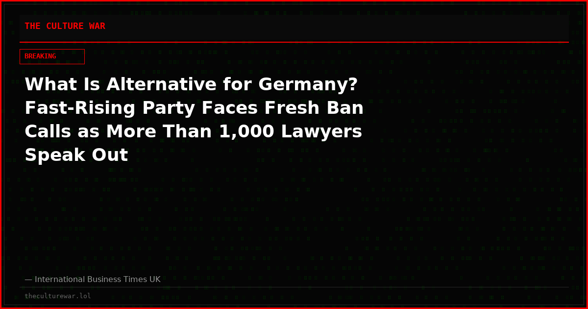 What Is Alternative for Germany? Fast-Rising Party Faces Fresh Ban Calls as More Than 1,000 Lawyers Speak Out