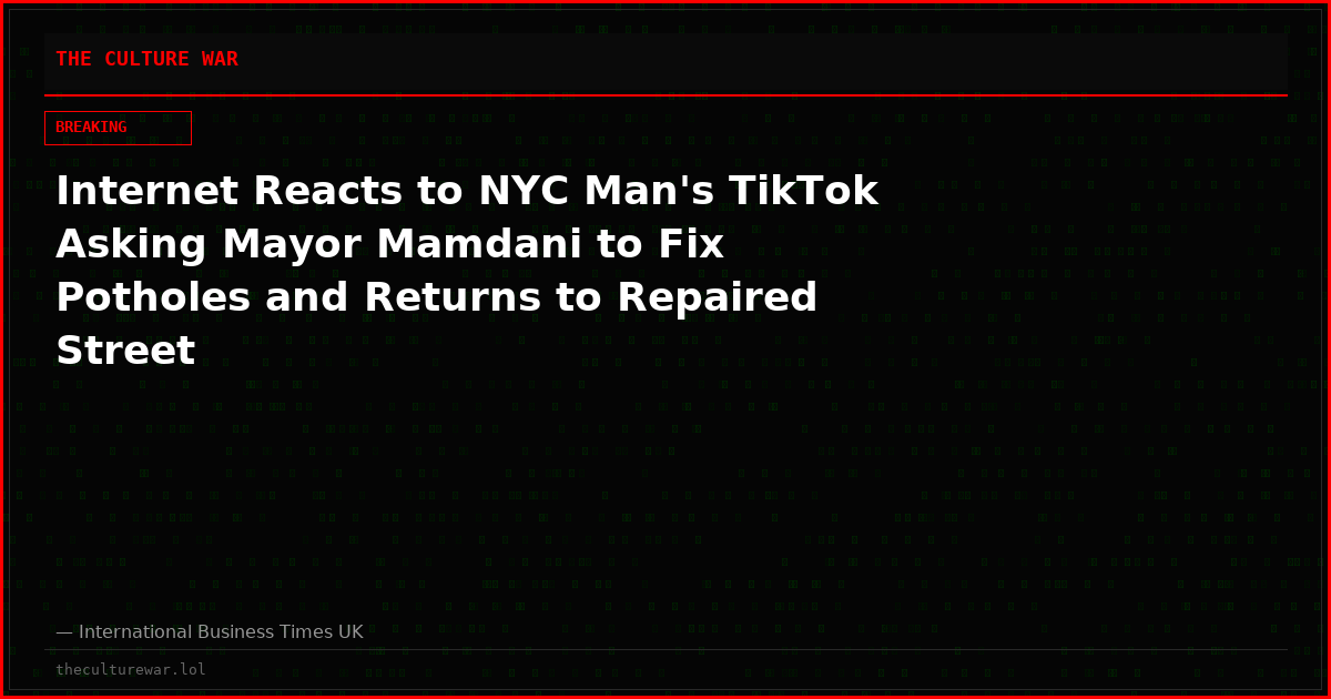 Internet Reacts to NYC Man's TikTok Asking Mayor Mamdani to Fix Potholes and Returns to Repaired Street