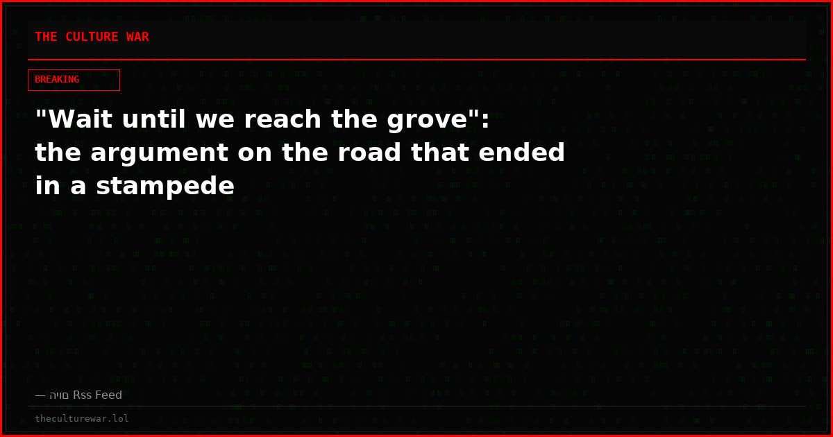 "Wait until we reach the grove": the argument on the road that ended in a stampede