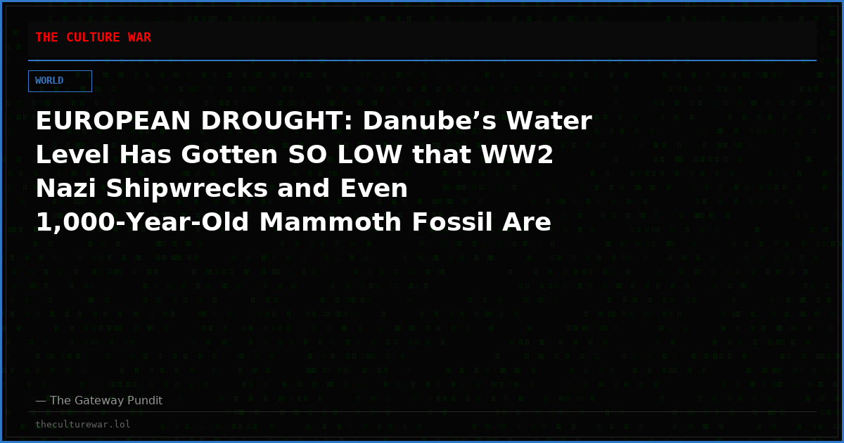 EUROPEAN DROUGHT: Danube’s Water Level Has Gotten SO LOW that WW2 Nazi Shipwrecks and Even 1,000-Year-Old Mammoth Fossil Are Revealed in the River Bed (VIDEOS)